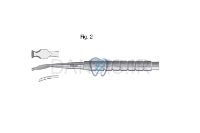 تصویر  چیزل اوشن بین - فالکن