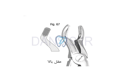 تصویر  فورسپس ساده عقل - فالکن
