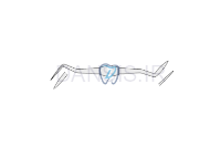 تصویر  کارور هولن باخ - فالکن