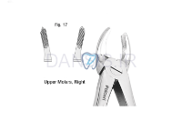 تصویر  فورسپس مولر بالا - فالکن