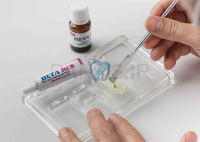 تصویر  سیلر عصب کشی - Beta RCS