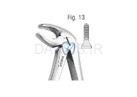 تصویر  فورسپس پرمولر بالا و پایین - کوشا