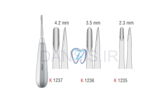 تصویر  الواتور مستقیم دنده ای - کوشا Lindo Levian 