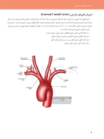 تصویر  آناتومی کلینیکال برای ایمپلنت های دندانی