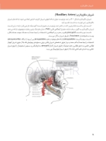 تصویر  آناتومی کلینیکال برای ایمپلنت های دندانی