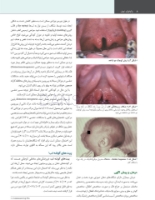 تصویر  پاتولوژی دهان، فک و صورت نویل 2024 جلد یک (رنگی)