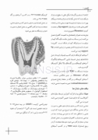 تصویر  CDR علم و هنر در دندانپزشکی ترمیمی 2019 (چکیده مراجع دندانپزشکی)