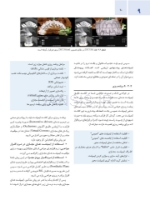 تصویر  اصول جراحی دهان، فک و صورت پیترسون 2022 (جلد اول)