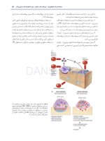 تصویر  استئونکروز فکین ناشی از مصرف داروها