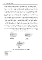 تصویر  شکستگی های مندیبولار