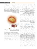 تصویر  بی حسی موضعی مالامد 2020