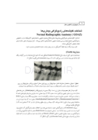 تصویر  رادیولوژی و آناتومی دهان