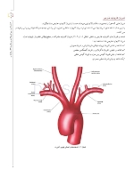 تصویر  لندمارک های آناتومی در رادیوگرافی و جراحی ایمپلنت
