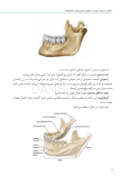 تصویر  اطلس و مرجع آموزش دستیاران عمومی کنار دندانپزشک