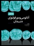 مورفولوژی.jpg