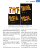 تصویر  Craig’s RESTORATIVE DENTAL MATERIALS