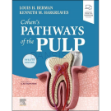 تصویر  Cohen’s Pathways of the Pulp 2021