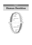 تصویر  English for the students of Dentistry(volume 1)