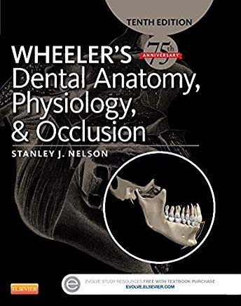 تصویر  WHEELER’S Dental Anatomy, Physiology, and Occlusion