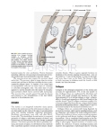 تصویر  Local Flaps in Facial Reconstruction 4e 2022
