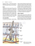 تصویر  Local Flaps in Facial Reconstruction 4e 2022