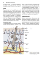 تصویر  Local Flaps in Facial Reconstruction 4e 2022