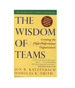 تصویر  کتاب خِرد تیم