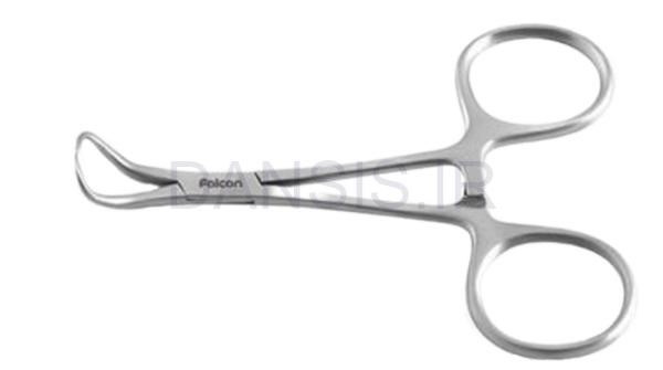 تصویر  شان گیر Backhaus - فالکن