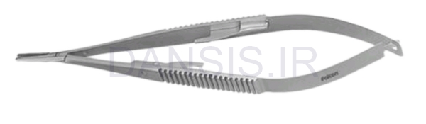 تصویر  سوزن گیر سرصاف نوک پهن کاستویجو - فالکن