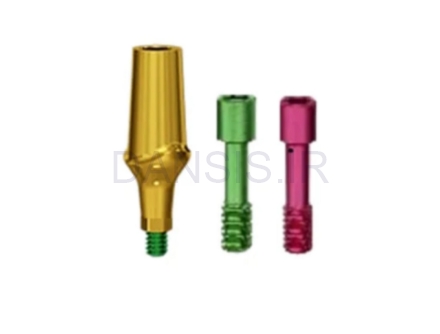 تصویر  اباتمنت مستقیم آناتومیک روت(Roott) R