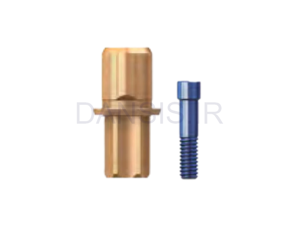 تصویر  اباتمنت تای بیس اسکای بردنت (Bredent)