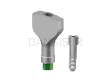 تصویر  اسکن بادی رسیستا(Resista)